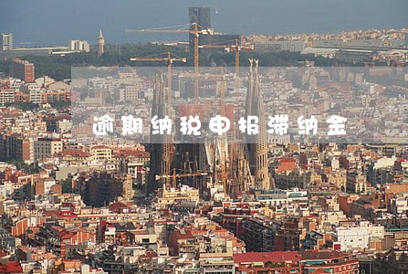 逾期纳税申报滞纳金 逾期纳税申报滞纳金