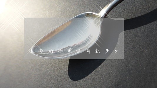 逾期纳税申报罚款多少 逾期纳税申报罚款多少