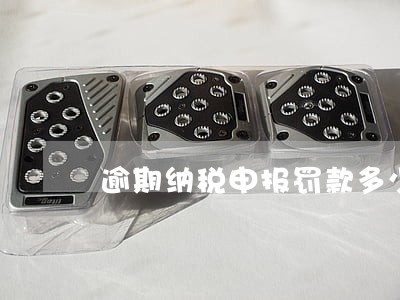 逾期纳税申报罚款多少天 逾期纳税申报罚款多少天