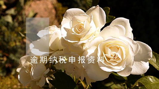 逾期纳税申报资料 逾期纳税申报资料