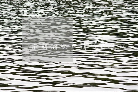 逾期纳税申请行政复议 逾期纳税申请行政复议
