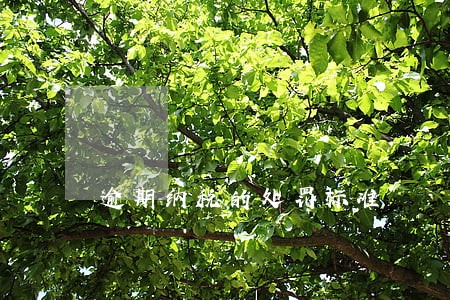 逾期纳税的处罚标准 逾期纳税的处罚标准