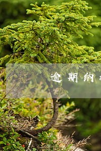逾期纳税的滞纳金是多少 逾期纳税的滞纳金是多少