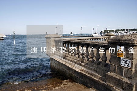 逾期纳税罚款产生的现金流量 逾期纳税罚款产生的现金流量