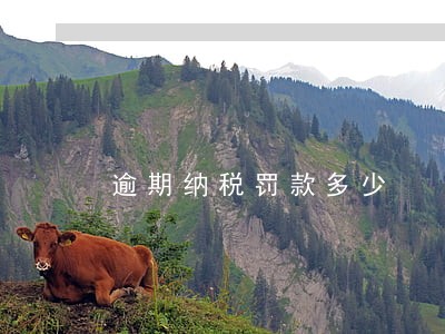 逾期纳税罚款多少 逾期纳税罚款多少