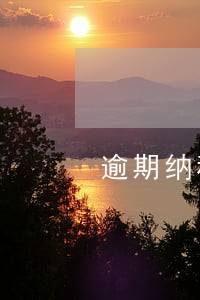 逾期纳税罚款怎么做账 逾期纳税罚款怎么做账