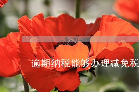 逾期纳税能够办理减免税吗 逾期纳税能够办理减免税吗