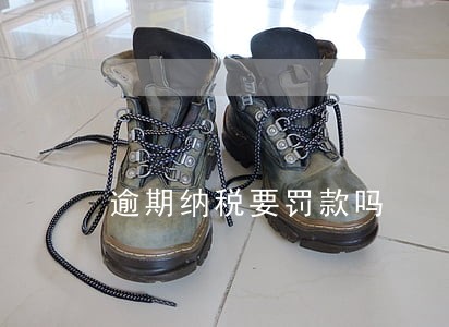 逾期纳税要罚款吗