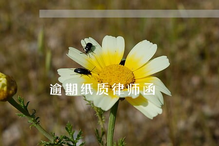 逾期纸质律师函 逾期纸质律师函