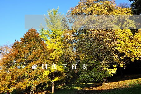 逾期线下催收 逾期线下催收
