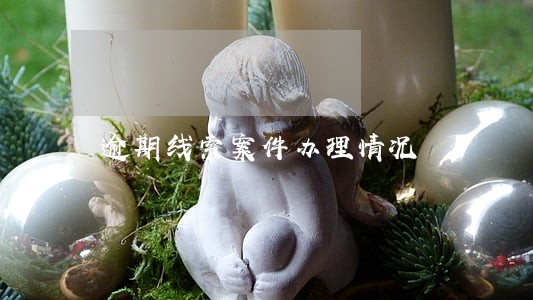 逾期线索案件办理情况 逾期线索案件办理情况