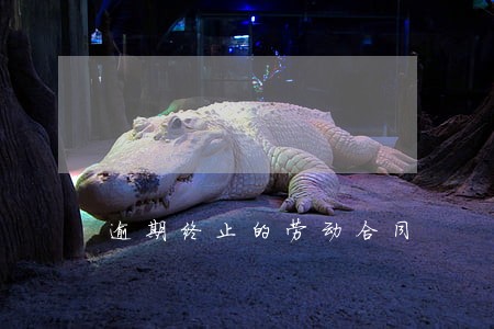 逾期终止的劳动合同 逾期终止的劳动合同