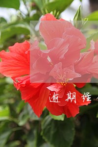 逾期经侦上门协助调查意味着什么 逾期经侦上门协助调查意味着什么