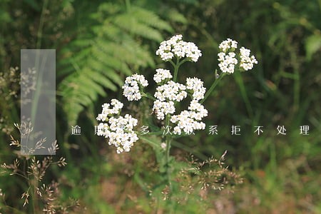 逾期经多次联系拒不处理 逾期经多次联系拒不处理