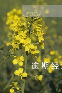 逾期经济补偿金条件 逾期经济补偿金条件