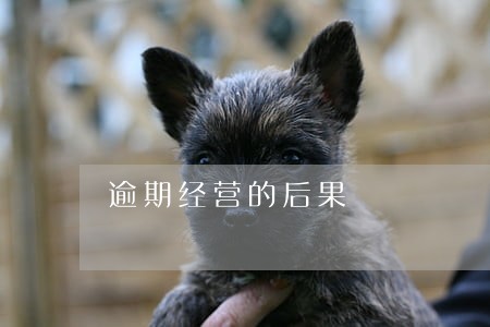 逾期经营的后果 逾期经营的后果