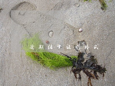 逾期结业证明格式 逾期结业证明格式