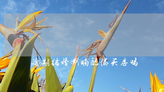 逾期结婚影响配偶买房吗 逾期结婚影响配偶买房吗