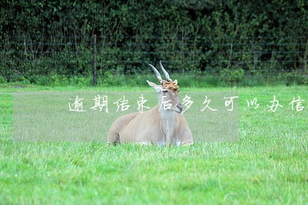 逾期结束后多久可以办信用卡