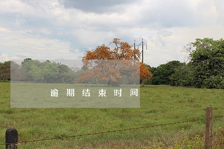 逾期结束时间 逾期结束时间