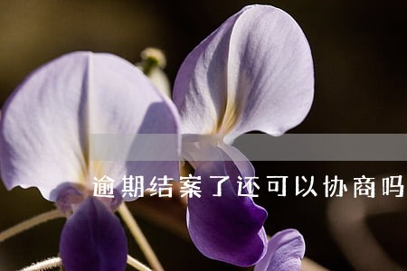 逾期结案了还可以协商吗 逾期结案了还可以协商吗