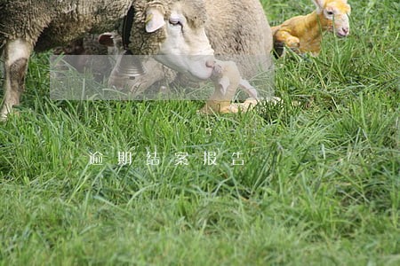 逾期结案报告 逾期结案报告