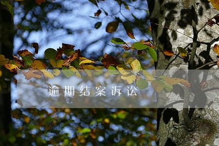 逾期结案诉讼 逾期结案诉讼