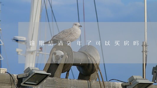 逾期结清2年了可以买房吗