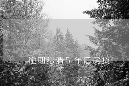逾期结清5年后房贷 逾期结清5年后房贷