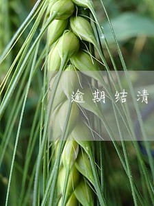 逾期结清三年了 逾期结清三年了