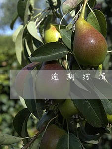 逾期结清两年后影响买房吗 逾期结清两年后影响买房吗
