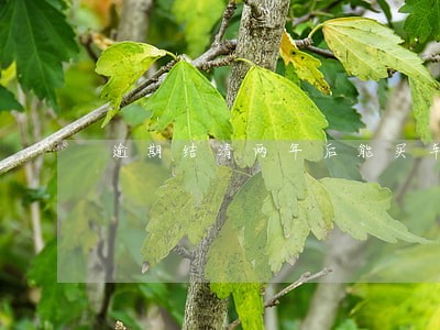 逾期结清两年后能买车吗 逾期结清两年后能买车吗