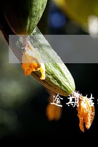 逾期结清两年多能办车贷吗 逾期结清两年多能办车贷吗