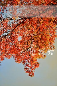 逾期结清两年还能下信用卡吗 逾期结清两年还能下信用卡吗
