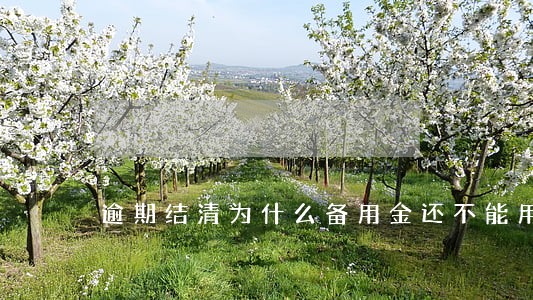 逾期结清为什么备用金还不能用 逾期结清为什么备用金还不能用