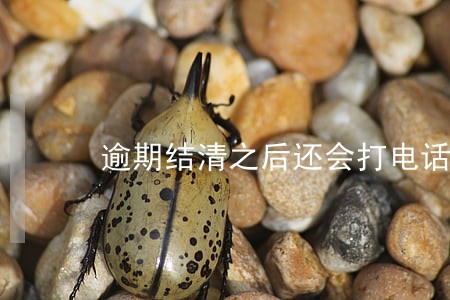 逾期结清之后还会打电话吗