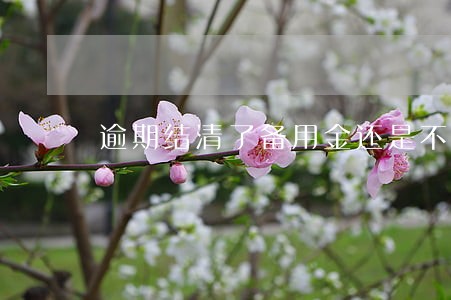 逾期结清了备用金还是不能用