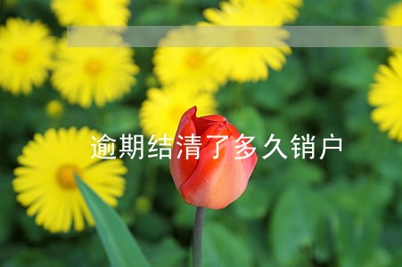 逾期结清了多久销户 逾期结清了多久销户