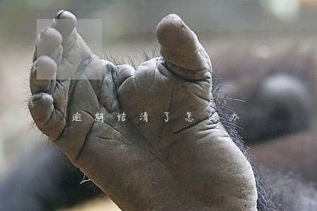 逾期结清了怎么办 逾期结清了怎么办