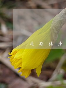 逾期结清了怎么还不了款 逾期结清了怎么还不了款