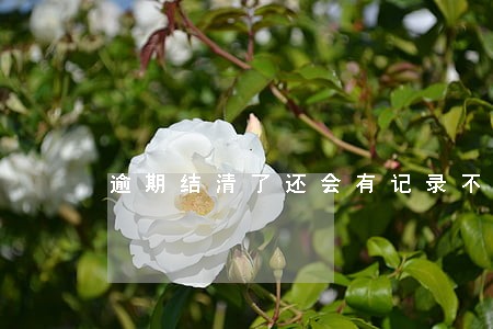 逾期结清了还会有记录不 逾期结清了还会有记录不