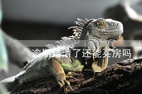 逾期结清了还能买房吗 逾期结清了还能买房吗