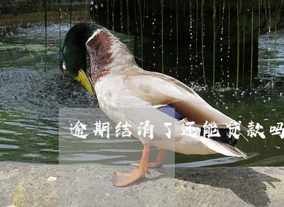 逾期结清了还能贷款吗 逾期结清了还能贷款吗