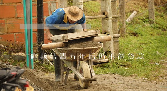 逾期结清五年后仍不能贷款
