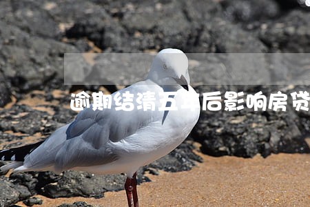 逾期结清五年后影响房贷吗 逾期结清五年后影响房贷吗