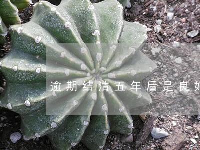 逾期结清五年后是良好征信吗 逾期结清五年后是良好征信吗