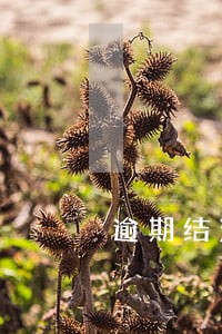 逾期结清半年可以贷款吗 逾期结清半年可以贷款吗