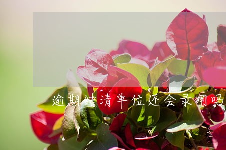 逾期结清单位还会录用吗 逾期结清单位还会录用吗