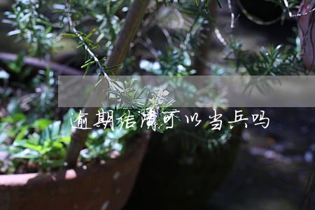 逾期结清可以当兵吗 逾期结清可以当兵吗