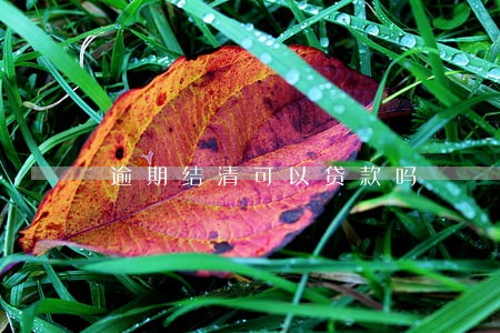 逾期结清可以贷款吗 逾期结清可以贷款吗